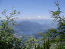 monte_vezzana_26-06-11_029.JPG