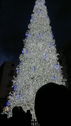 Salerno_luminarie_27_dicembre_28629.jpg