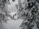 Renon_neve_14_284029.JPG