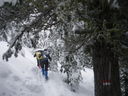 Renon_neve_14_284529.JPG